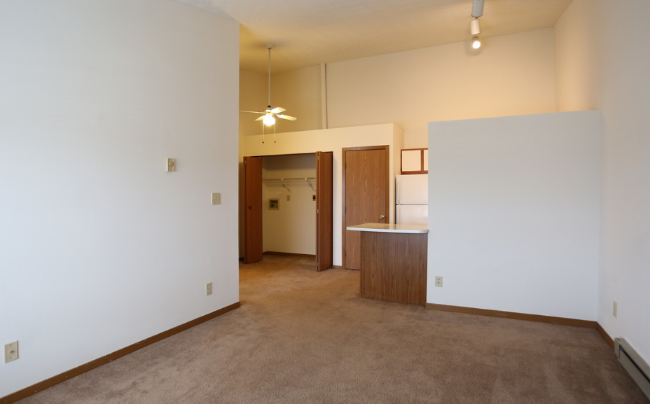 Image of a carpeted room and kitchen