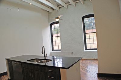 cool industrial apartment richmond va