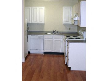 Dish Washer