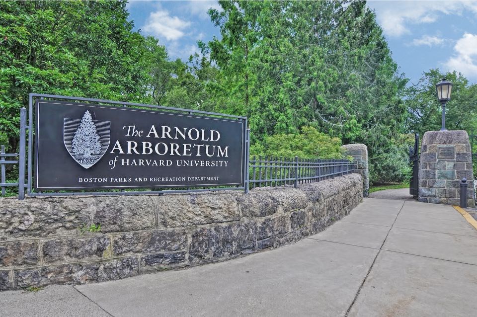a sign for the arboriculture is on a stone wall