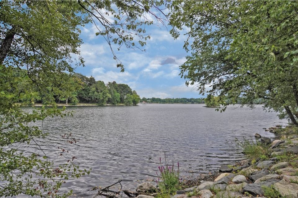 a view of a lake with trees and rocks