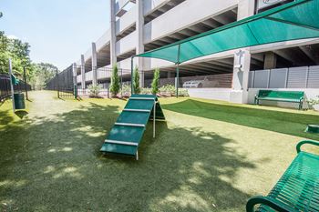 Pet Spa and Park at Morningside Atlanta by Windsor, Georgia