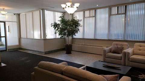 a living room with couches and a tree in the corner