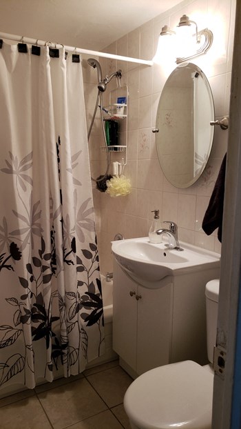 166 Carlton Street Studio-1 Bed Apartment for Rent - Photo Gallery 10