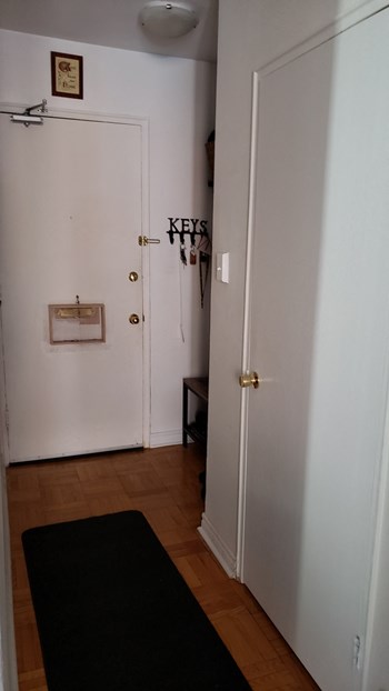 166 Carlton Street Studio-1 Bed Apartment for Rent - Photo Gallery 12