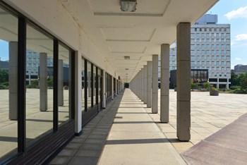 520 Wellington Street Studio-4 Beds Apartment for Rent - Photo Gallery 4