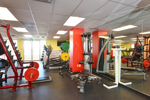 a view of the fitness room in the gym