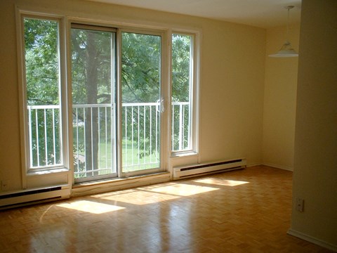 A room with a wooden floor and a large window with a view of a tree and a fence.