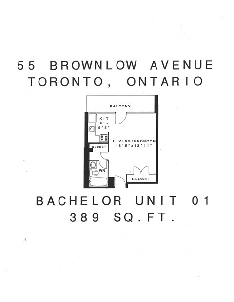 55 Brownlow Avenue Studio-2 Beds Apartment for Rent - Photo Gallery 11