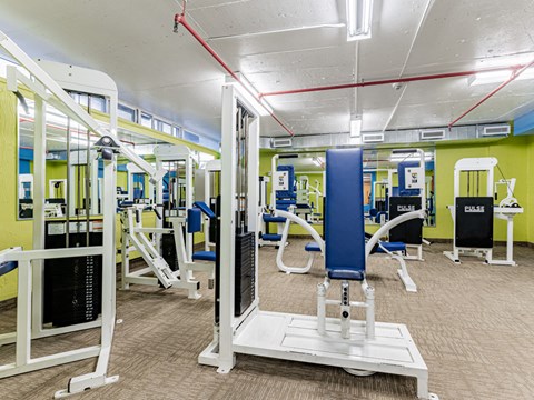A gym with a variety of equipment including a squat rack, bench press, and a leg press machine.