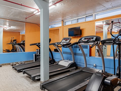 A gym with treadmills and exercise bikes.