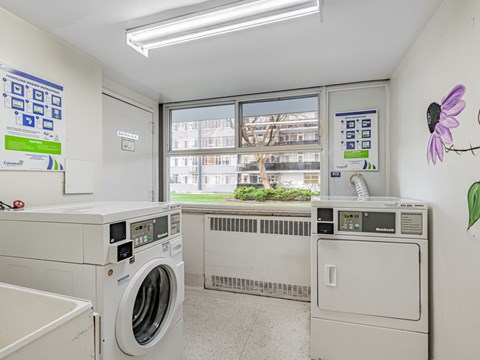 A laundry room with a washer and dryer, a window, and a wall decoration.