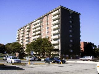 3375 Ponytrail Drive 1-3 Beds Apartment for Rent - Photo Gallery 4