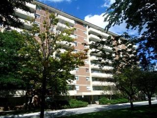 3375 Ponytrail Drive 1-3 Beds Apartment for Rent - Photo Gallery 5