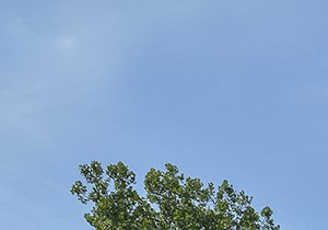 Timberland Partners Inc Our Properties