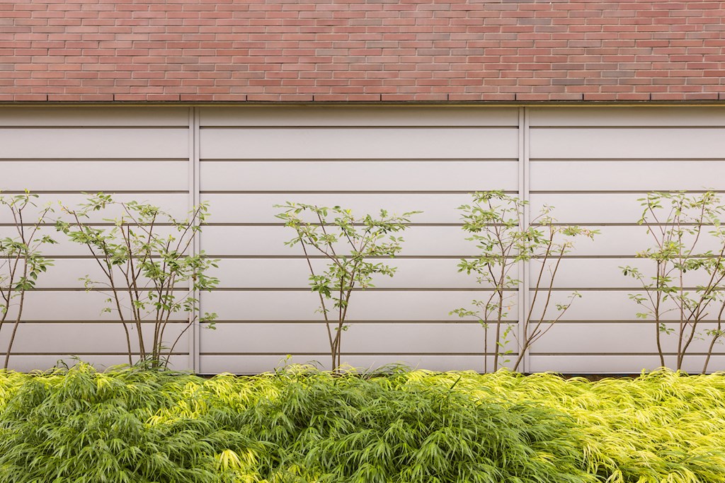 the side of a garage door with plants in front of it