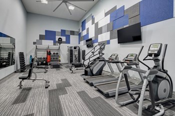 Fitness Center With Modern Equipment at Carol Stream Crossing, Illinois, 60188 - Photo Gallery 6