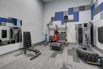 Fitness Center With Updated Equipment at Carol Stream Crossing, Carol Stream - Photo Gallery 5