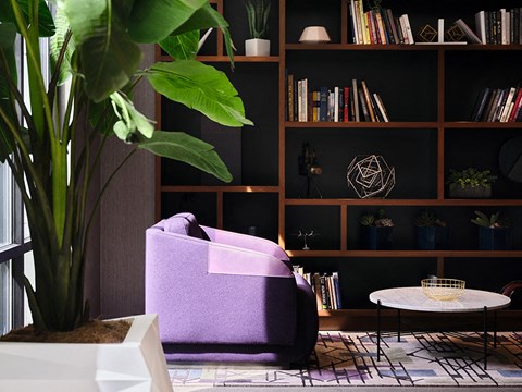 a living room with a purple chair and a large plant