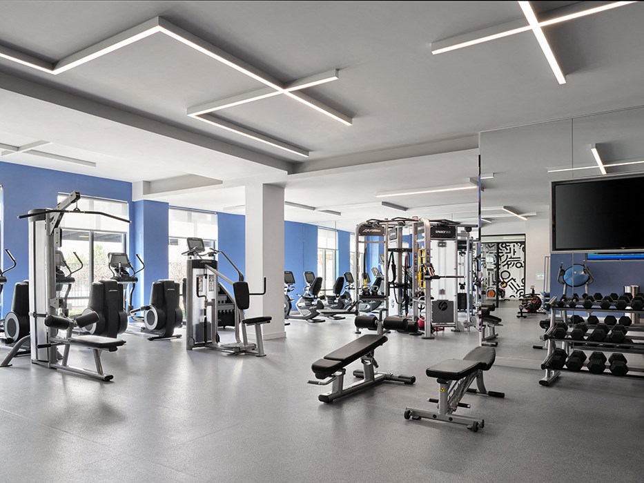 a gym with weights and cardio equipment and a tv
