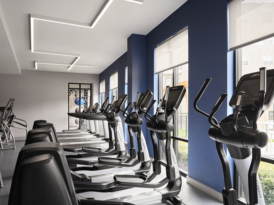 a row of cardio machines in a gym