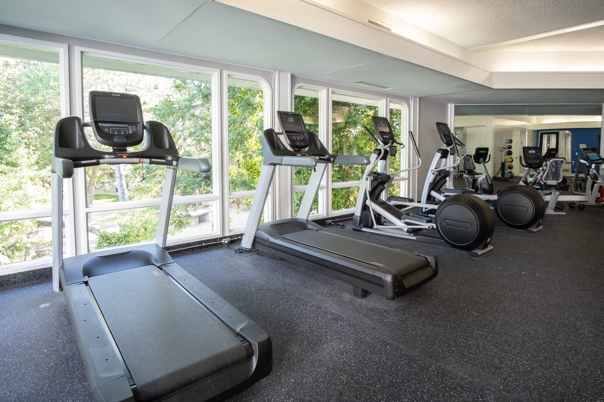 A gym with treadmills and elliptical machines.