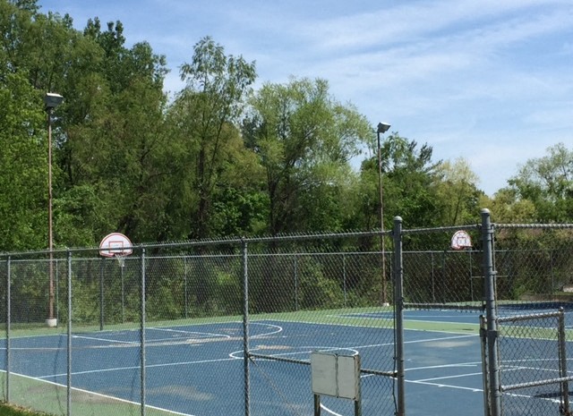 Cottonwood Creek Apartments Basketball Court