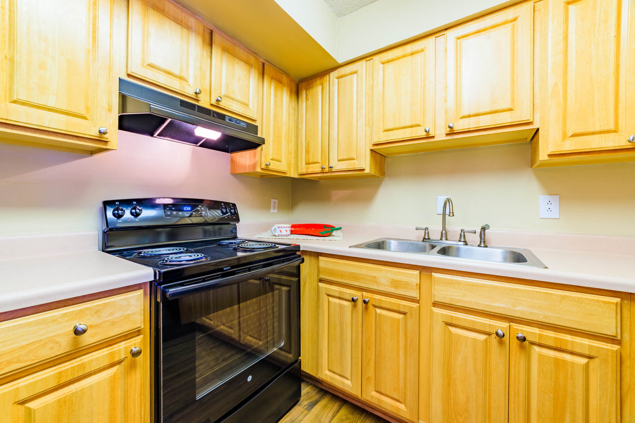 Forest Lake at Oyster Point in Newport News, VA View of Kitchen and stove