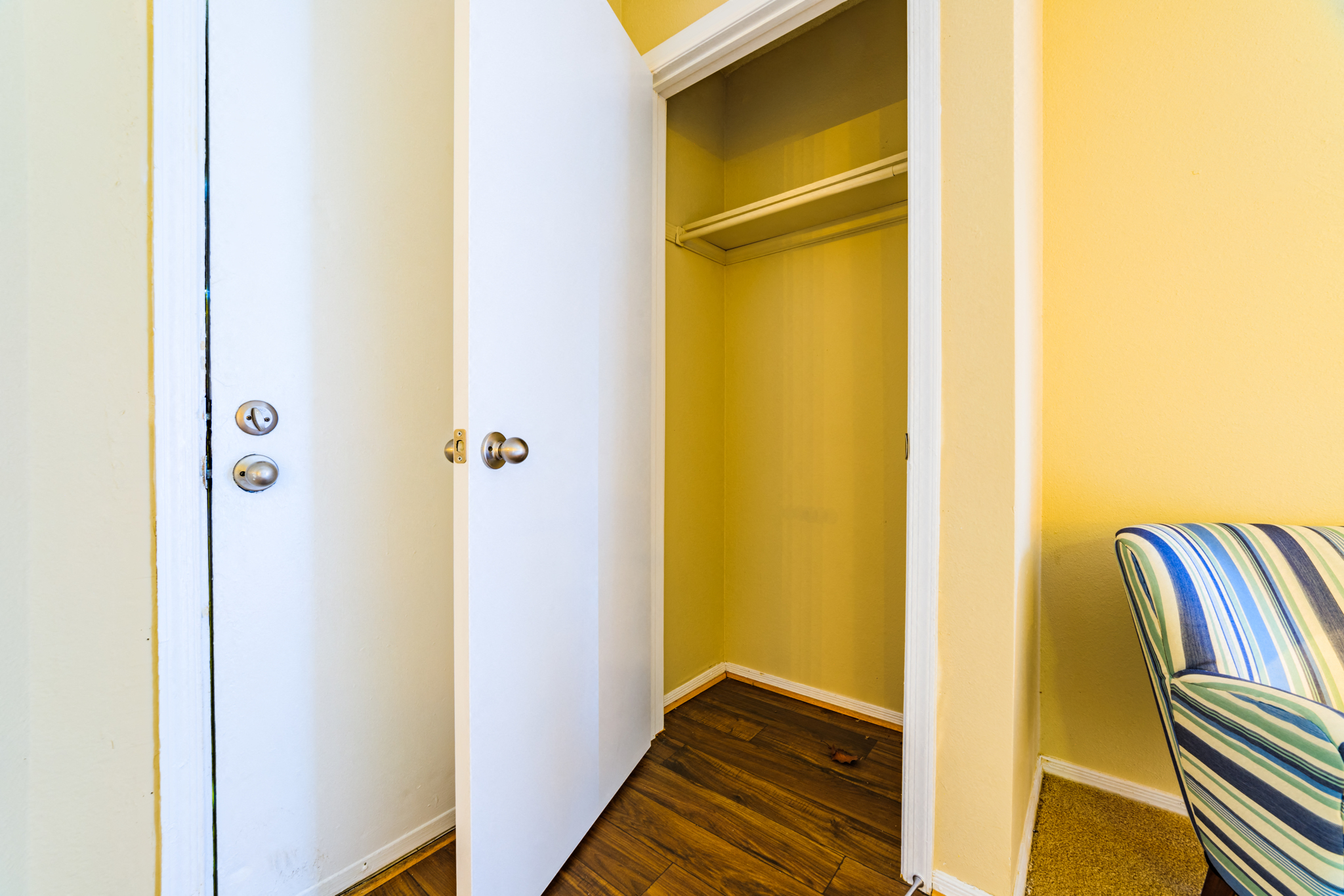 Forest Lake at Oyster Point Living Room Closet Interior