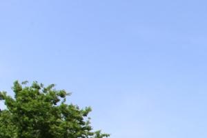 Hickory Grove Apartments Green Space Hickory Grove Apartments Broken Arrow OK Green Space - Photo Gallery 5