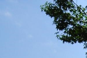 Cheap Apartments In Southaven Ms Cheap Apartments In Southaven Ms