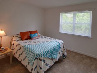 2125 Cameron Drive 1-3 Beds Apartment for Rent - Photo Gallery 5