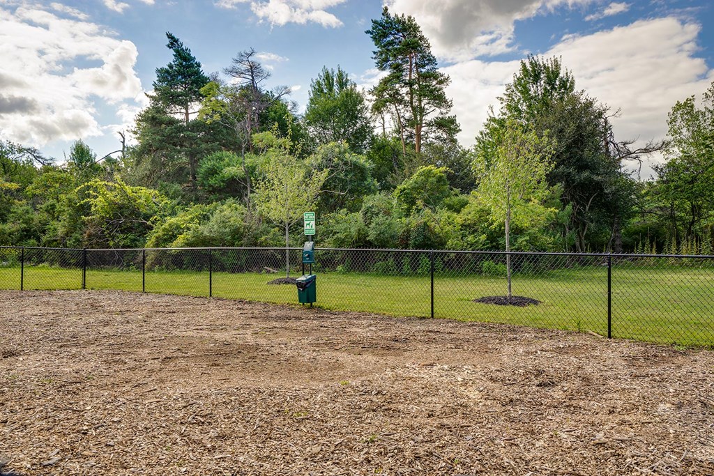 a dog park with a fence and trees