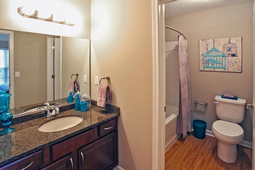 a bathroom with a sink and a toilet and a mirror