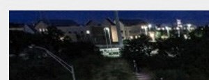 San Antonio banner 1