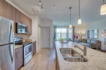 Gourmet Chef Kitchen with Stainless Steel Appliances at Windsor Lantana Hills, Austin, 78735
