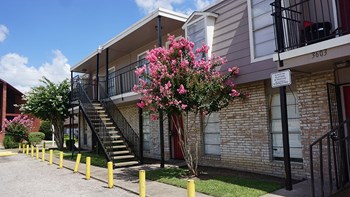 Alice Street Apartments 3645 Alice St Houston Tx Rentcafe