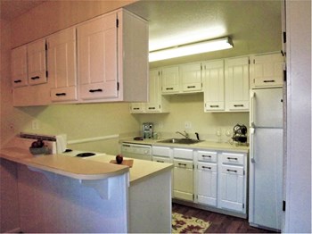915 Carr Street 1-3 Beds Apartment for Rent - Photo Gallery 3