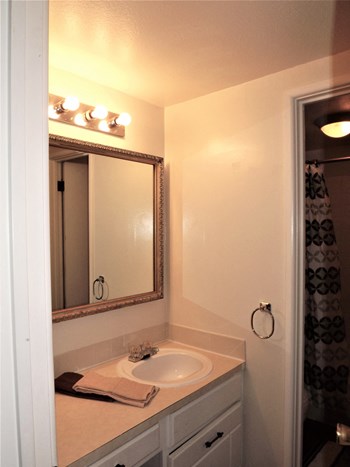 915 Carr Street 1-3 Beds Apartment for Rent - Photo Gallery 4