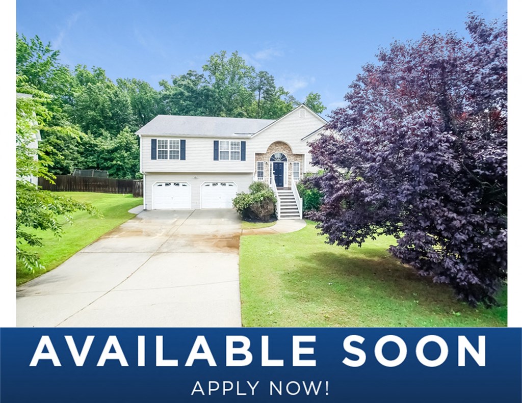 a house with a purple tree in front of it and a driveway