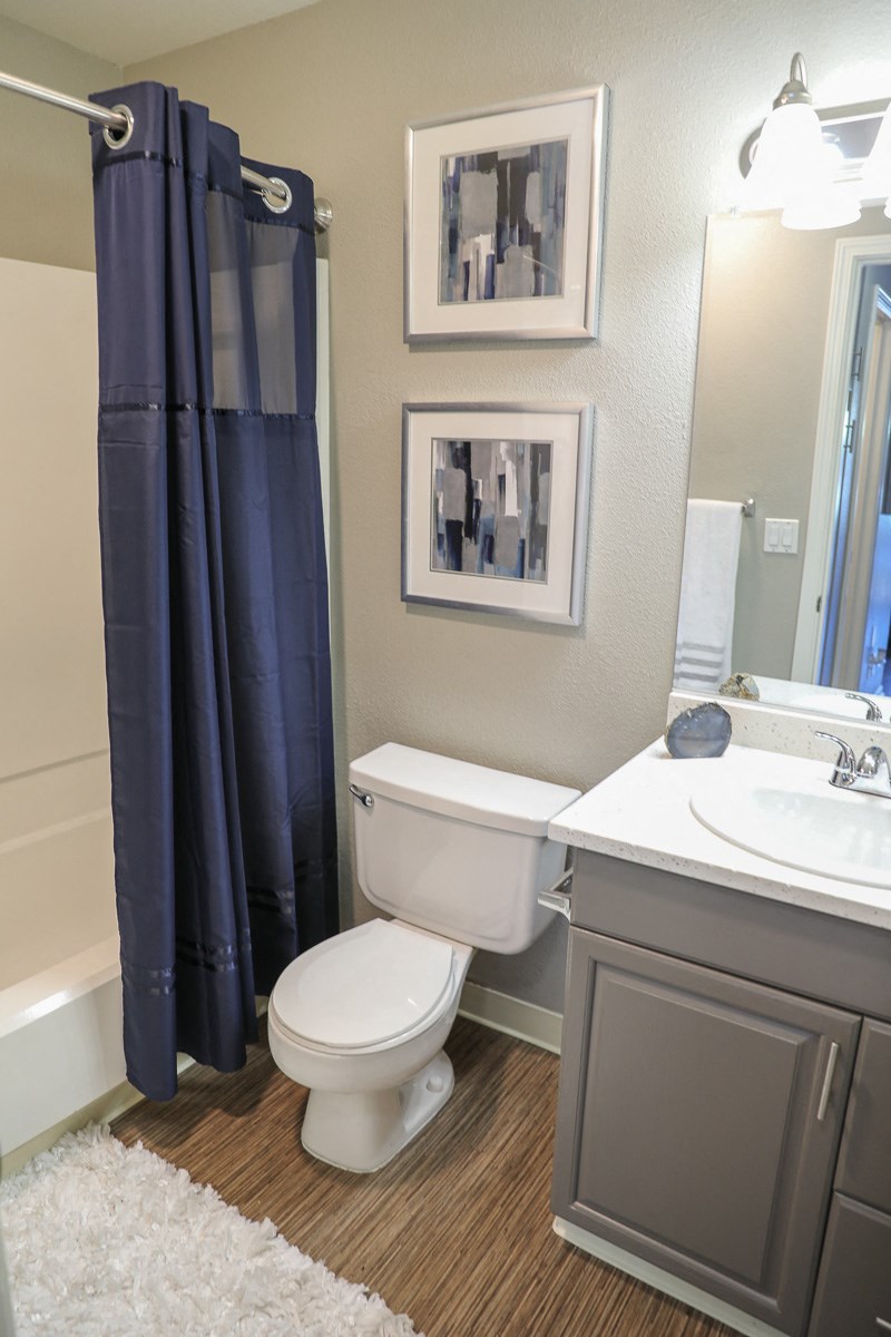a bathroom with a toilet and a sink and a shower