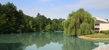 West Knoxville Apartments For Rent - Knoxville Tn Rentcafe
