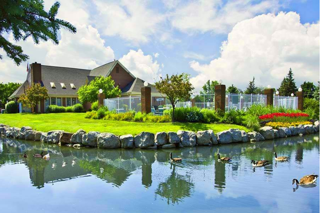 a pond with ducks in front of a house