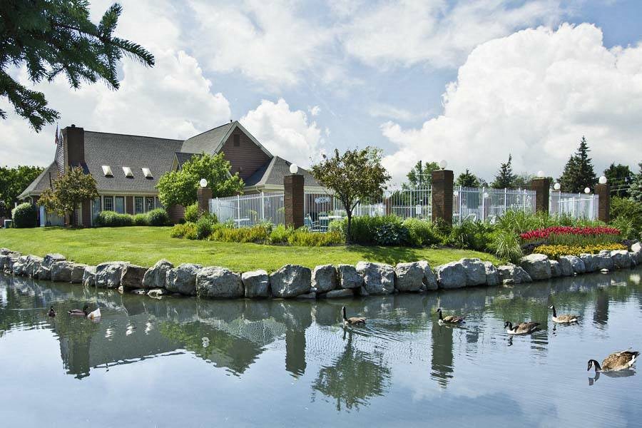 a pond with ducks in front of a house