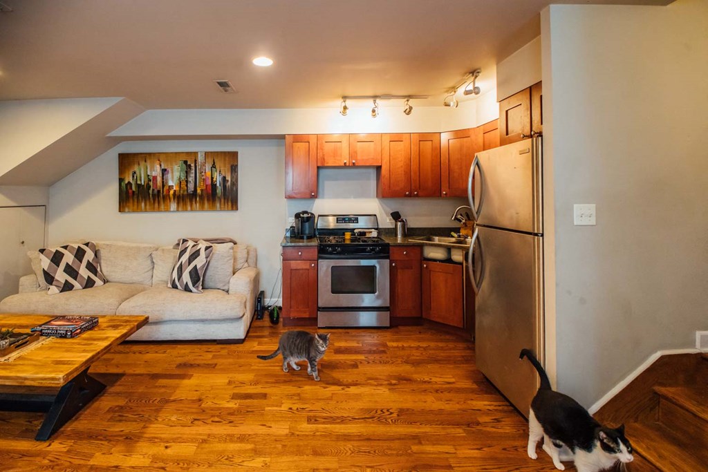 a living room with a cat walking across the floor