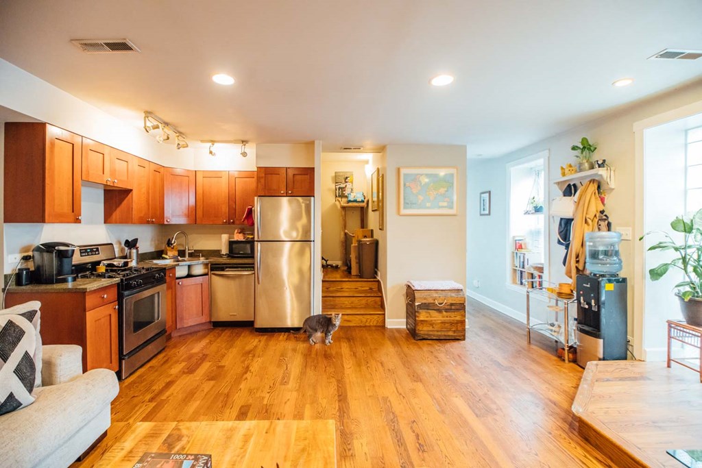 a kitchen and living room with a cat in the middle