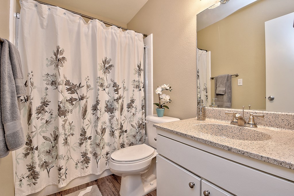a bathroom with a shower and a sink and a toilet