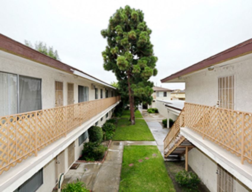 a row of apartments with balconies and grass and a tree
