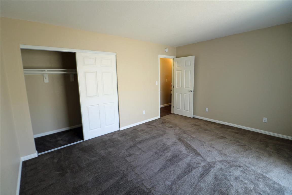 a living room with carpet and a door to a closet