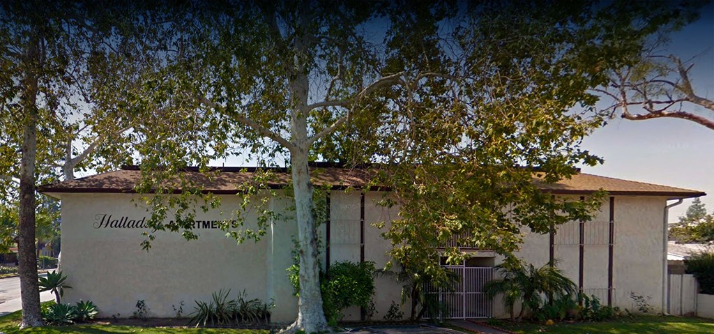 a white building with a tree in front of it
